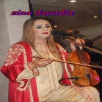 Daoudia